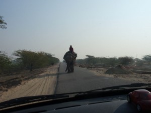 Sudhu mit Elefant