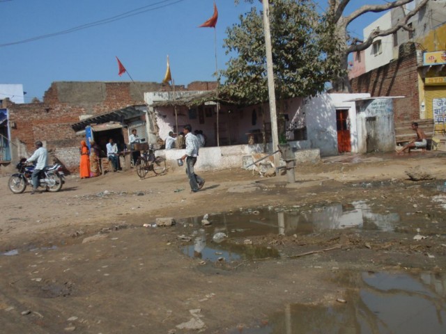 Indien Reiseerlebnis- von Ranthambhore nach Fathepur Sikri und Agra