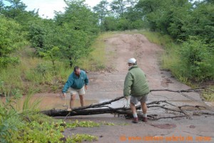 Hwange Nationalpark - Masuma - Hindernis beseitigen