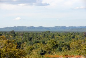 Simbabwe - Hwange Nationalpark - Landschaft