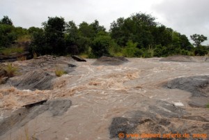 Simbabwe - Hwange Nationalpark - Lukosi River