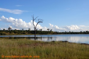 Simbabwe - Hwange Nationalpark - Mandavu Dam