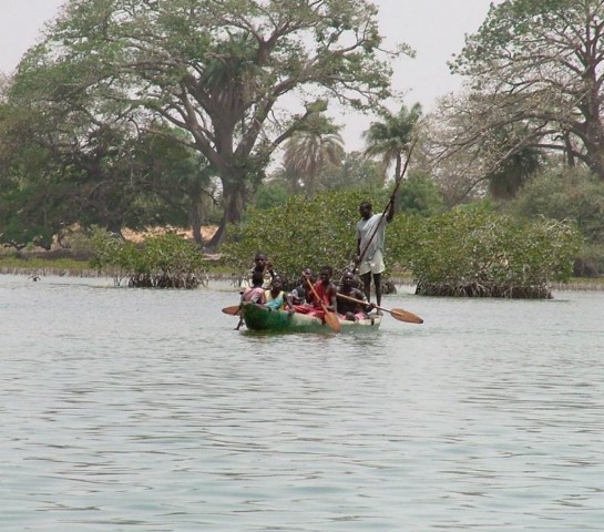 Völker und Vögel des Sine-Saloum-Delta im Senegal – eine Reise in eine faszinierende Flusslandschaft !
