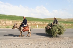 Usbekistan Impressionen