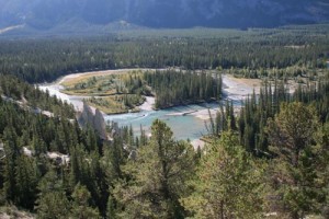 Der Bow-Fluss im Banff-Nationalpark