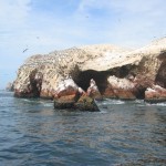 Peru Ferienrundreise von der Insel Ballestas bis in die Wüste von Nasca