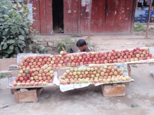Apfelverkäufer