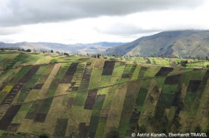 Bewirtschaftete Felder im Andenhochland