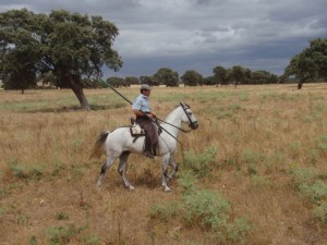 Caballero mit Lanze