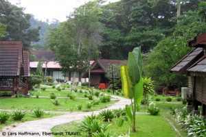 Das Mutiara Taman Negara Resort mitten im Regenwald Malaysias