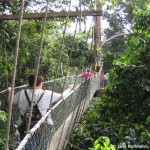 Rundreise Malaysia - Abenteuer Regenwald, Kuala Lumpur, Taman Negara Nationalpark