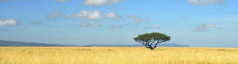 Tansania-Serengeti
