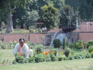 Gärtner in Srinagar