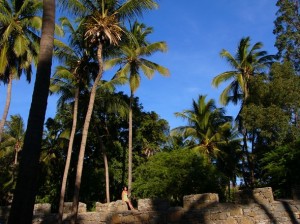 Kap Verde: Auf der Insel Santiago. Wandern unter Palmen
