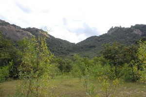 Matobo Nationalpark - Landschaft bei Lumene Falls1