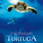 Filmtipp: Tortuga - Die unglaubliche Reise der Meeresschildkröte