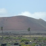 Lanzarote für Naturfreunde