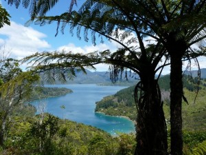 Queen Charlotte Track, Mistletoe Bay - Portage