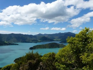 Queen Charlotte Track, Resolution Bay - Furneaux Lodge