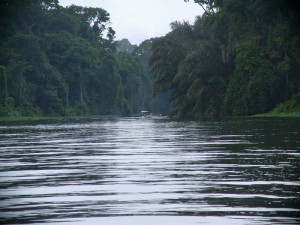 kiwi-costa-rica-fluss
