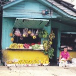 Rundreise durch Costa Rica mit San José, Vulkan Poás, Puerto Viejo, La Fortuna und dem Nationalpark Tenorio