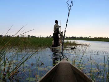Okavango-Mokoro