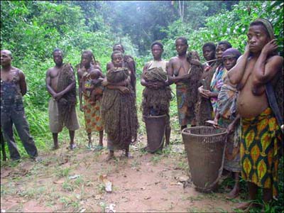 Die BAaka-Pygmäen sind die Ureinwohner des Regenwalds im Kongo