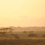 Tansania: Eine Reise in die endlosen Ebenen der Serengeti