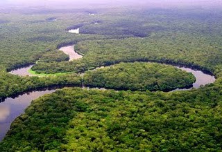 Der mächtige Kongofluss, der wassereichste Fluss Afrikas