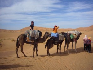 Das Kamel-Trekking durch die Sahara kann beginnen