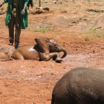 Frauenreisen – Frauenurlaub in Ostafrika