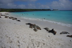 Galapagos Strand