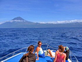 Whale Watching vor Pico