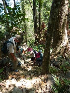 Kletterpartie zurück