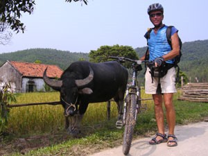 Begegnung mit einem Wasserbüffel Halong Bucht Vietnam