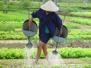 Gartendorf in Hoi An - Vietnam