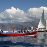 Whale Watching - wunderbare Delfin- und Wal-Begegnungen vor La Gomera