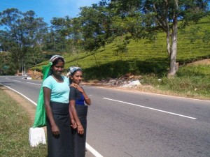 Sri Lanka Reise