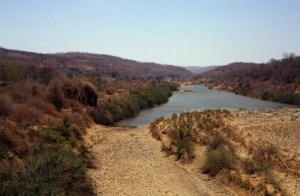 Blick auf den Sanyati River am Matusadona Nationalpark