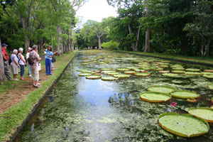 Maritim-Mauritius-Garten