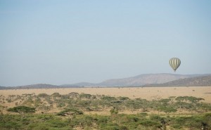 Seronera Wildlife Lodge_ Tansania