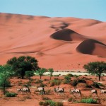 Atemberaubendes Namibia Rundreise