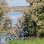 blick vom Ufer