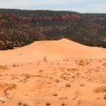 Coral Pink Sand Dunes