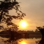 Die Siona Lodge im Cuyabeno Nationalpark im Dschungel von Ecuador