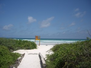 Totruga Bay Santa Cruz