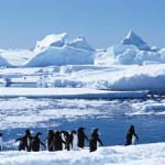 Reise in die Antarktis und Südgeorgien: Unterwegs zu den letzten Tierparadiesen