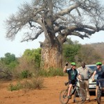 Südafrika mit Mountainbikes - Auf Safari in der Limpopo Provinz