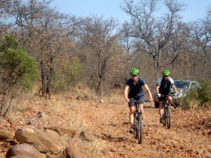 Safari mit Mountainbikes in Südafrika
