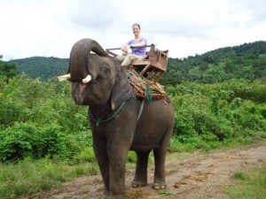 Chiang Mai Thailand